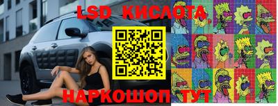 спайс Гай