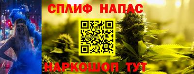 спайс Гай