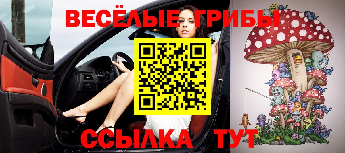 Галлюциногенные грибы мицелий Кыштым